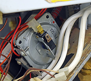 bx pt celsia 50 f1 aps nc no disc.jpg